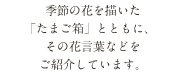 季節の花を描いた「たまご箱」とともに、その花言葉などをご紹介しています。