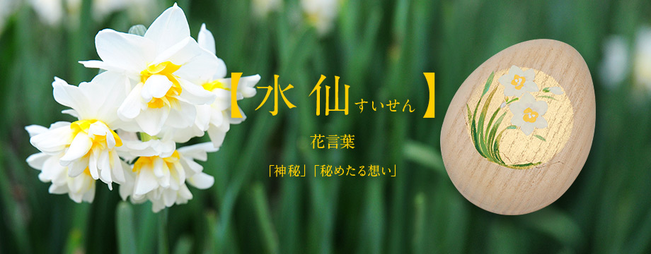 【水仙　すいせん】花言葉「神秘」「秘めたる想い」