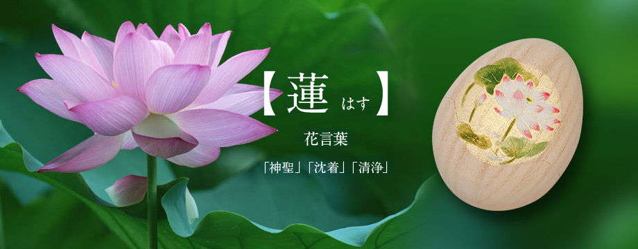 【蓮　はす】「神聖」「沈着」「清浄」