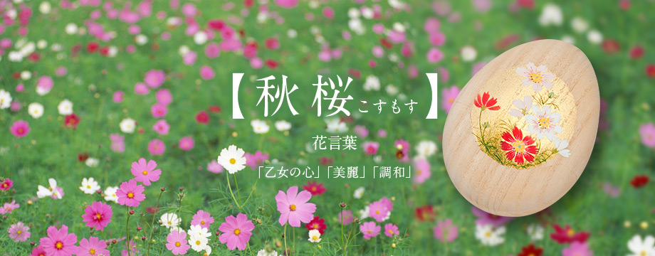 【秋桜　こすもす】「乙女の心」「美麗」「調和」 