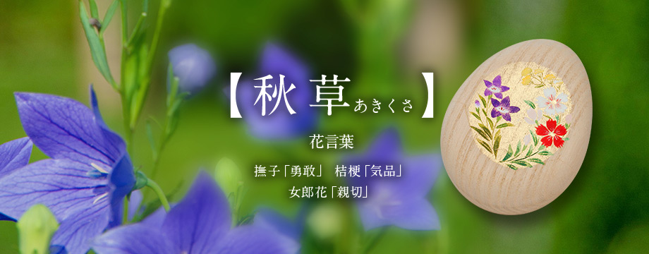 【秋草　あきくさ】撫子「勇敢」　桔梗「気品」　女郎花「親切」 