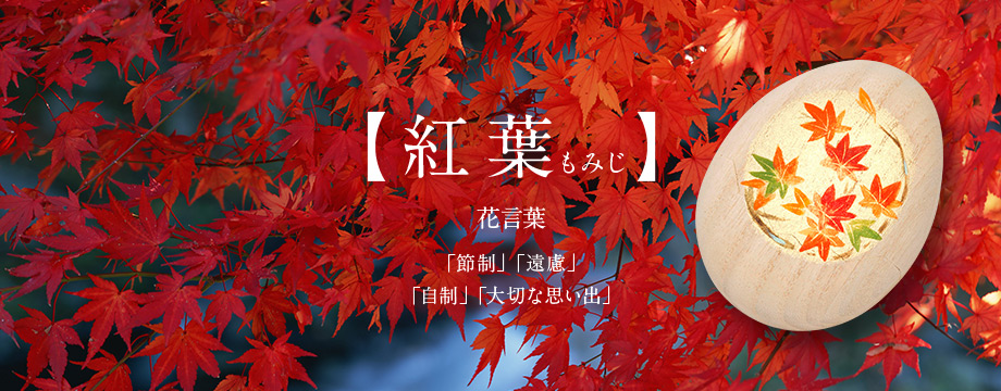 【紅葉　もみじ】「節制」「遠慮」「自制」「大切な思い出」 